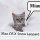 Illustration for article titled Snow Leopard Box Redesign Gallery